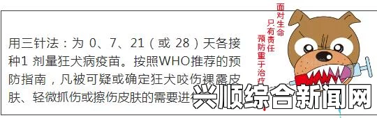 判断是否需要打狂犬疫苗，主要取决于是否接触了可能携带狂犬病毒的动物或其体液。以下是详细的判断过程