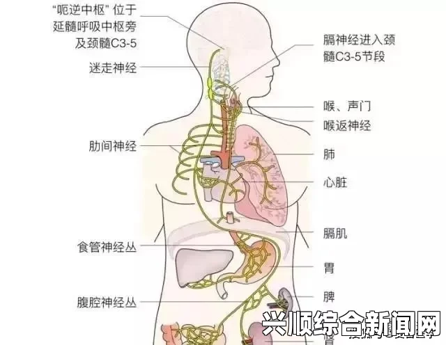 日韩产品和欧美产品有哪些不同？这些差异如何影响我们的选择？探讨文化背景与消费习惯的深层次影响_最新热门剧集免费看