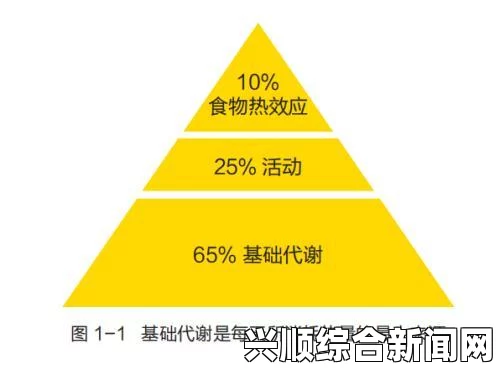 如何评估91果冻制片厂与天美传媒的福利资源对影视行业的影响？：详细分析这两家公司在娱乐领域的优势与潜力，探讨其未来发展趋势及市场竞争力。_如何选择观看平台