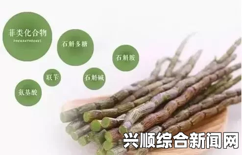 铁皮石斛，功效、作用及食用方法