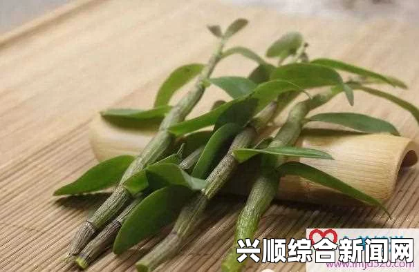 铁皮石斛，功效、作用及食用方法