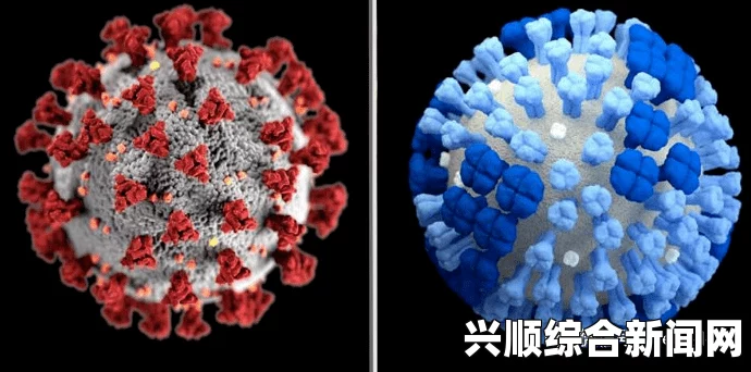 蜜丝婷大草莓与小草莓的效果差异揭秘：哪个更适合你？