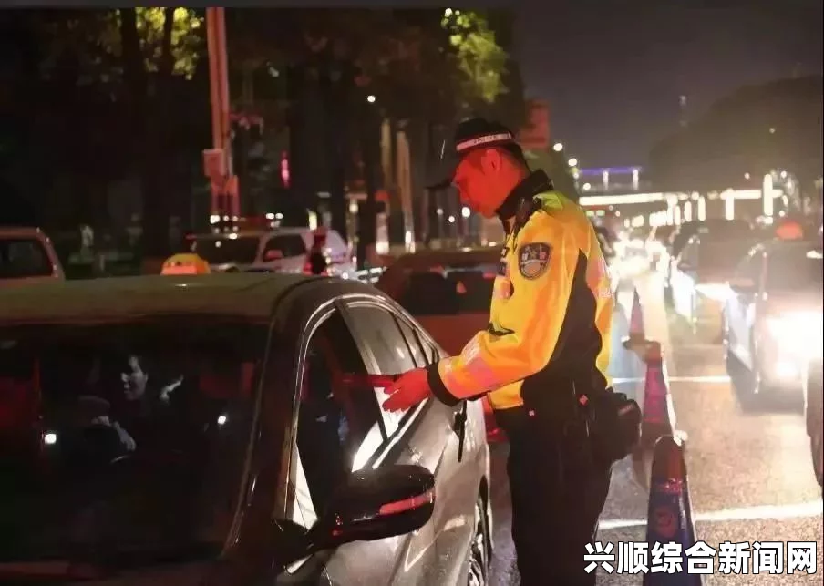 中国x站交警用小xue查酒驾hnph：影视探索中的武打片剧情、小说评价与刺激体验