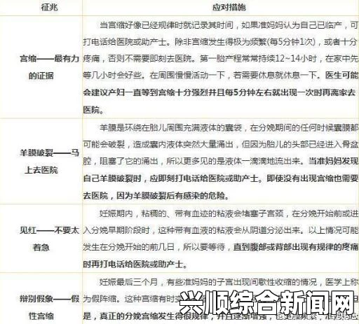 91在线精品平台全面解析：如何利用91在线精品平台享受多样娱乐体验？探索丰富内容与互动乐趣的最佳方式_激情与剧情并存