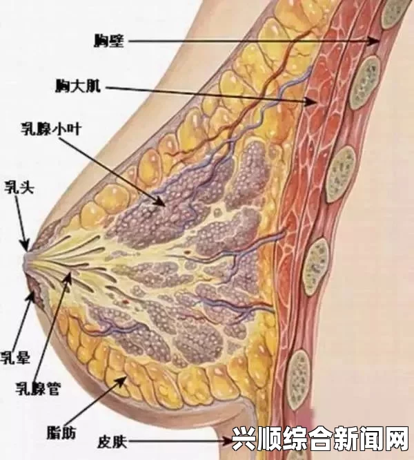 韩国理论大全黑料网血腥，让人震惊的不仅是内容的极端化，更引发了对社会暴力问题的深思。