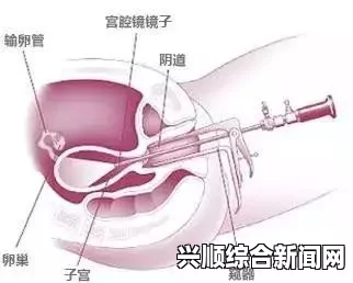 班长化身全班的插座，连接梦想与友情的电流