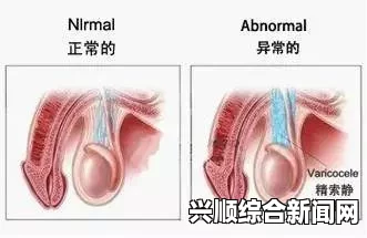 津巴布韦总统，身体能胜任职责，正考虑培养接班人