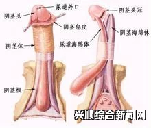 高清av电影黑料正能量不肾虚，这句标题让人思考健康生活的重要性，在幽默中传递正向的生活态度。