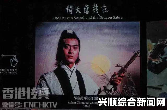 《一二三四区》：探索武打片的深度与刺激，影视与小说交织的魅力评价。