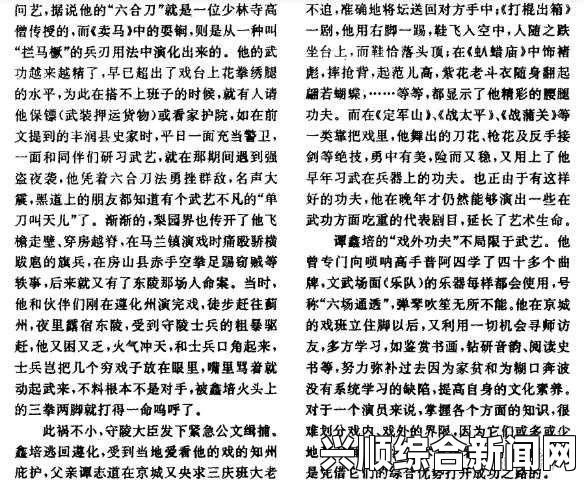 小诗成为学校教具9章：探索影视武打片与小说的刺激评价