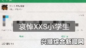 两人世界高清完整版免费观看b站2023年推广入口：影视探索与武打片的精彩结合，小说与评价带来的刺激体验