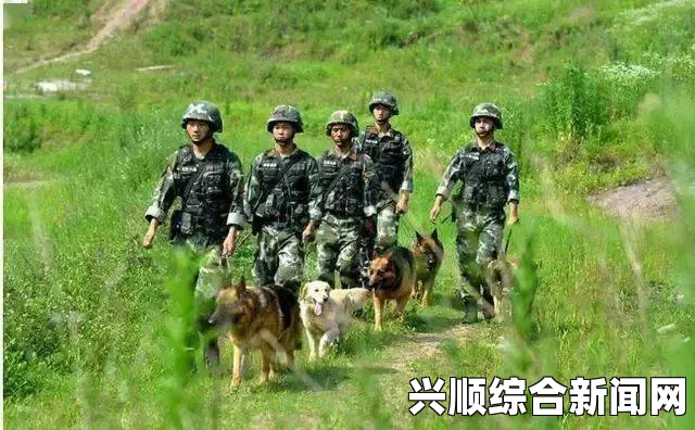 高清av电影吕总训练张警犬：一场刺激的影视探索，展现武打片与小说中的英雄评价