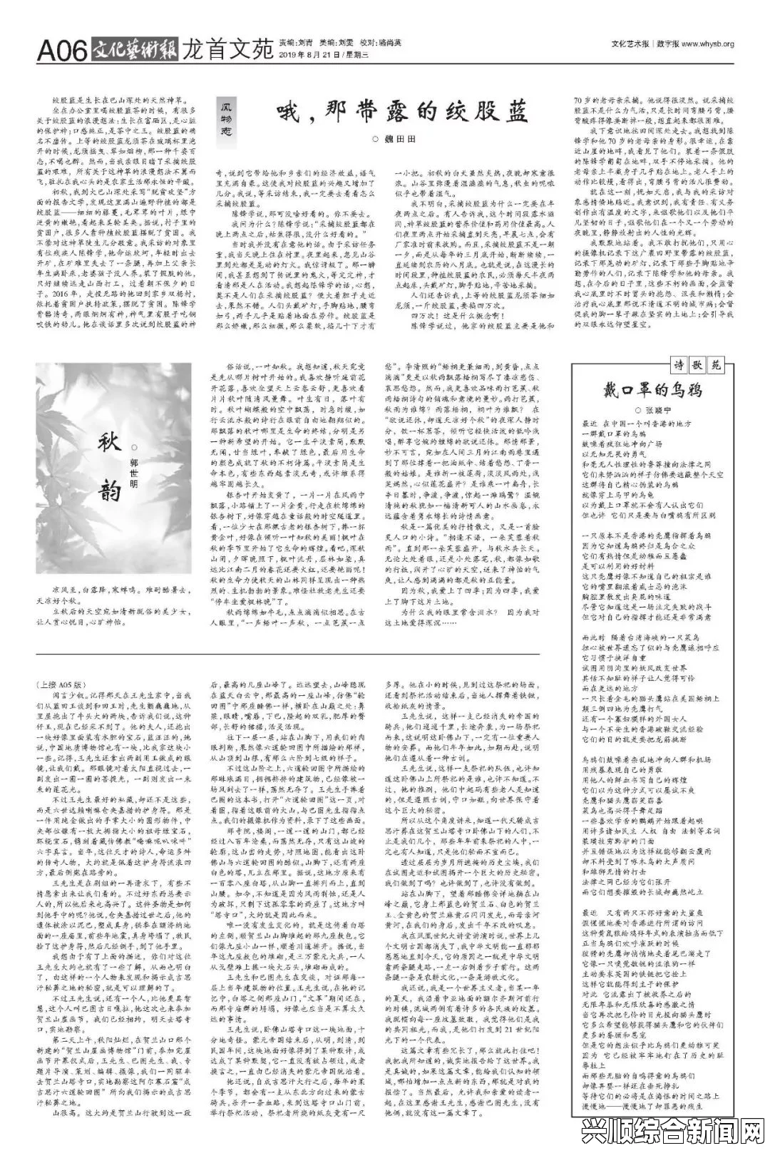 9.1分,国产18禁突然上线137137大但人文艺术：旨在将传统与现代完美融合，展现出独特的视觉魅力和深刻的人文内涵。