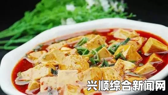 麻婆豆腐传媒视频免费视频：这部视频不仅展示了传统美食的魅力，还通过生动的画面带领观众体验制作过程，实属佳作。