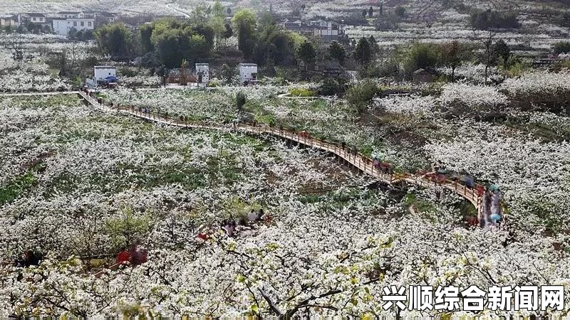 樱花动漫在线观看免费完整版影视男人的 伸到 里怎么伸，这个问题涉及亲密关系中的沟通与理解，探索彼此的需求和感受可以增进情感的深度。