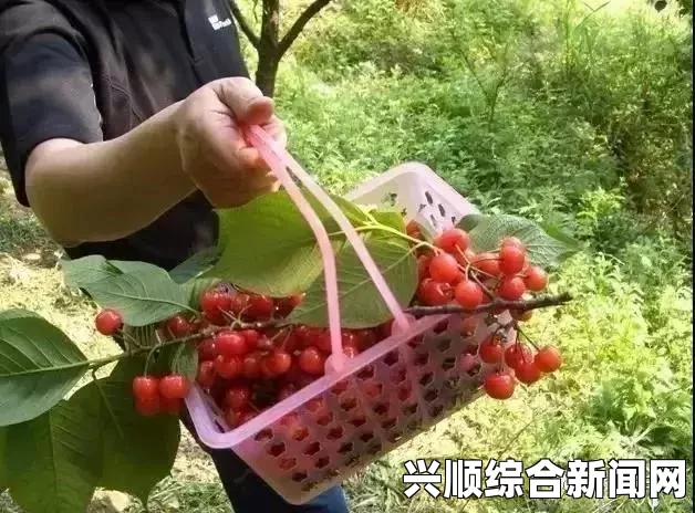 两人世界高清完整版免费观看秋葵草莓樱桃榴莲大全：多样化的水果和蔬菜，带来丰富的口感体验与健康益处，让生活更添色彩。