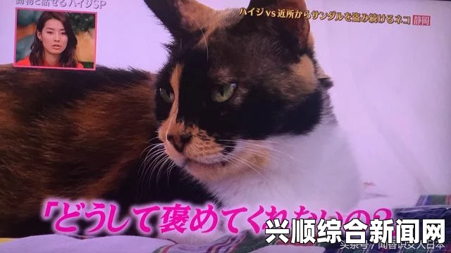 成人电影柚子猫yuzukitty的礼物：这是一个充满创意与温暖的礼物，展现了无尽的关爱与独特的设计。