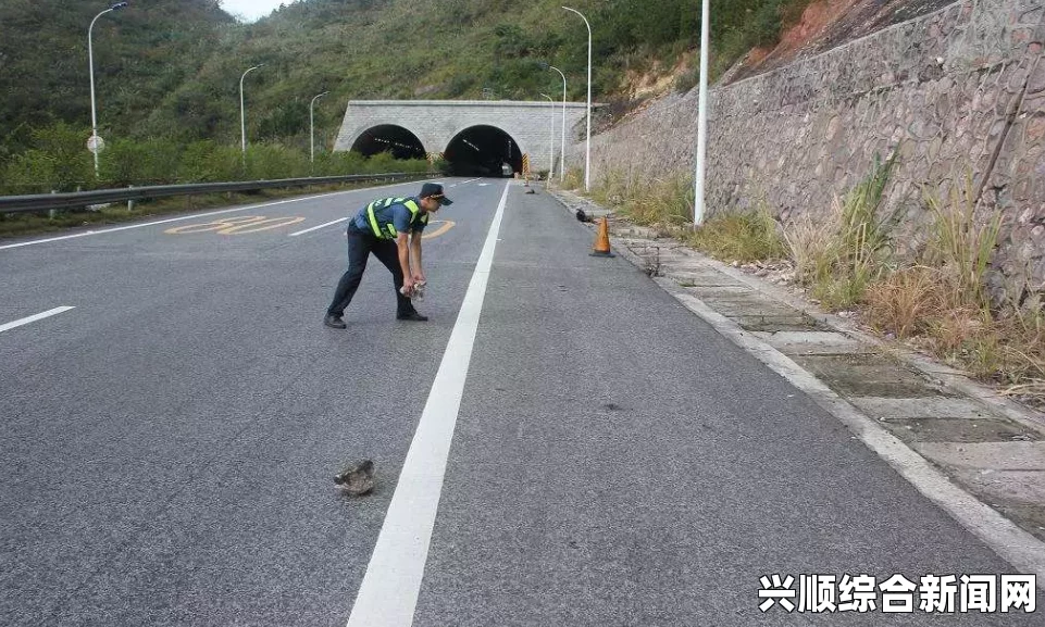 走一步撞一下：在这个过程中，我们不断尝试与碰撞，让生活变得更加丰富多彩。