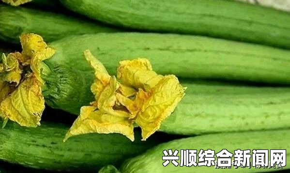 《性解密第一季》高清草莓香蕉丝瓜秋葵榴莲大全——这些食材各具特色，营养丰富，多样化的搭配让我们的饮食更加健康美味。