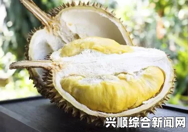 《性解密第一季》高清草莓香蕉丝瓜秋葵榴莲大全——这些食材各具特色，营养丰富，多样化的搭配让我们的饮食更加健康美味。