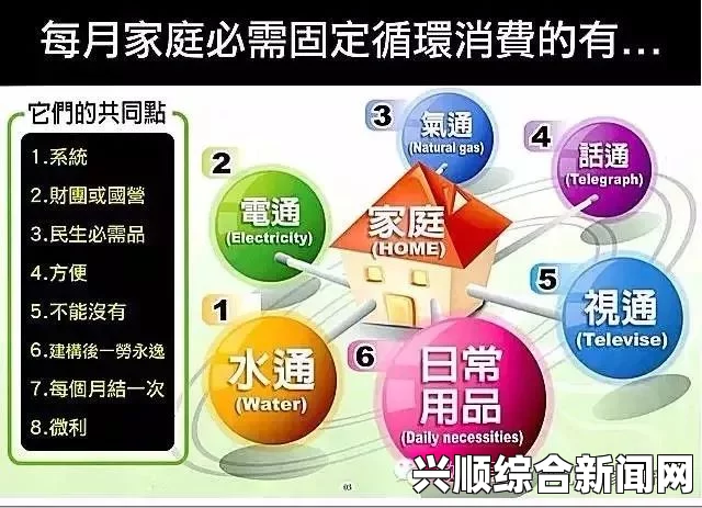 深入探讨：日本产品与韩国产品的品质、性能和性价比哪个更优？