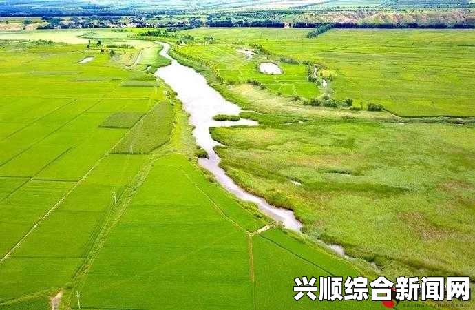 探索大地资源三在线直播：揭示自然资源的奥秘与价值