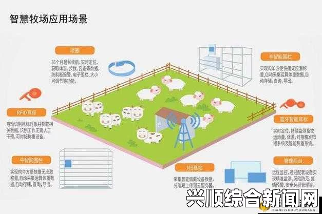 提升畜禽CROPROATION效率：创新技术与市场前景分析