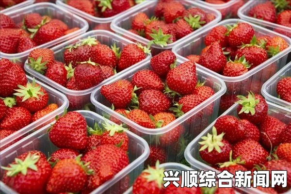 迈开腿吃草莓对男性性功能的积极影响及健康饮食建议