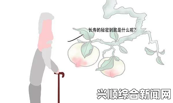 如何有效寻找海量免费的视频背景音乐资源大全与技巧