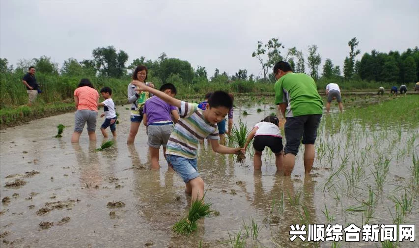 探索夫妻关系的艺术：108种插秧法图片，增进情感互动与默契