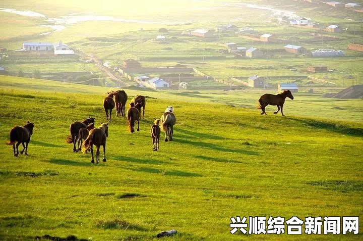 全面解析国产卡二卡三卡四分类及其在市场中的应用与影响