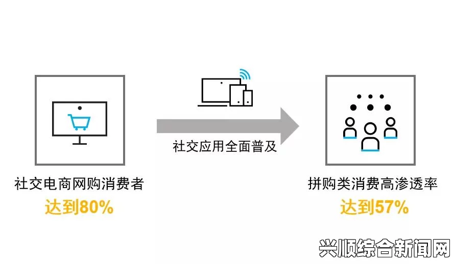 深入分析：日本插槽X8的正规与仿冒区别及影响因素