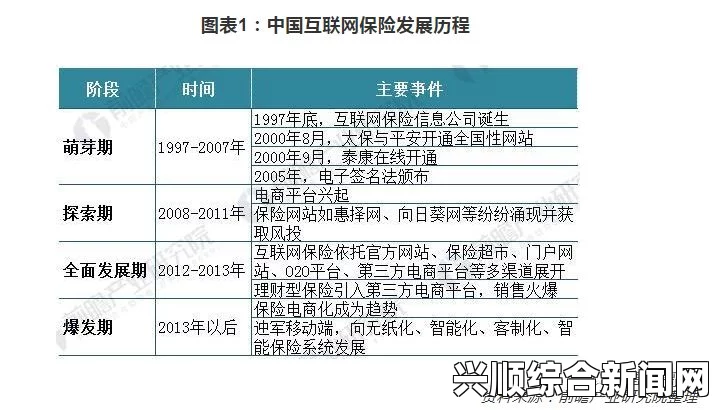 深入分析：日本插槽X8的正规与仿冒区别及影响因素