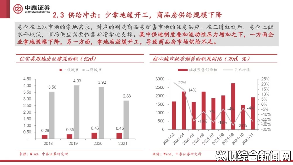 深入分析：日本插槽X8的正规与仿冒区别及影响因素