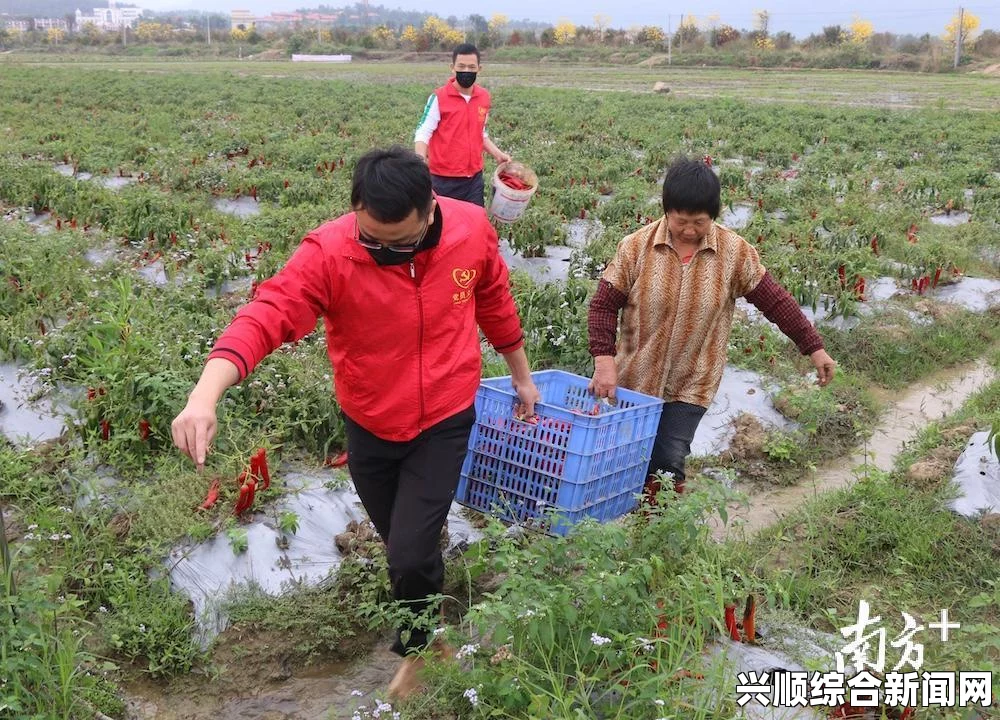 夫妻插秧的乐趣：100种创意方法与图片大全分享