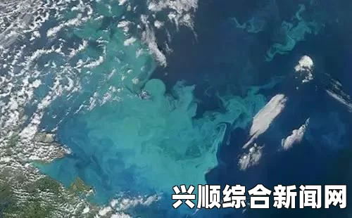 芬兰宣布退出巴伦支海欧洲-北极圈理事会，背景、原因与影响分析