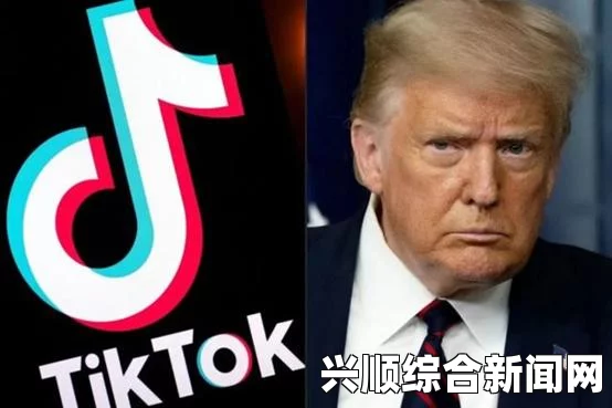 TikTok要求美最高法院冻结强迫出售令