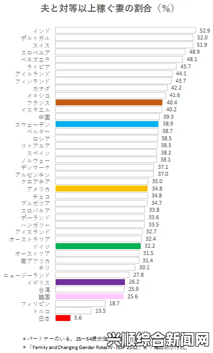 探究日本一码、二码、三码尺码系统的民主化变革及其影响