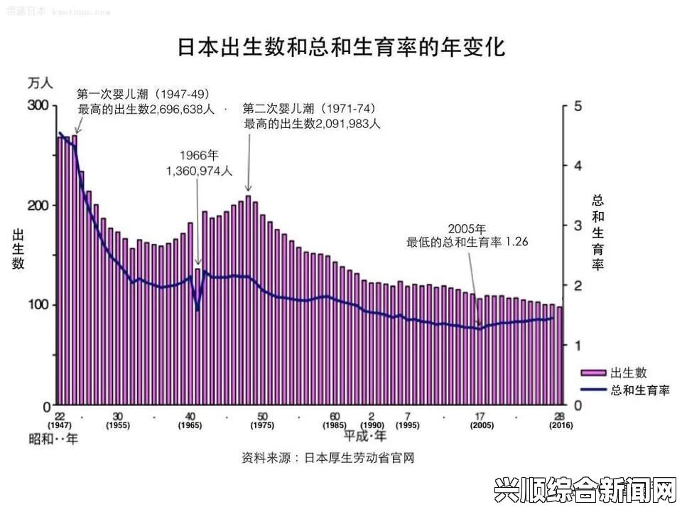 探究日本一码、二码、三码尺码系统的民主化变革及其影响