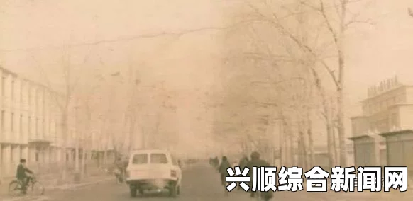 双膝之间1984：探寻历史的印记与人性的反思