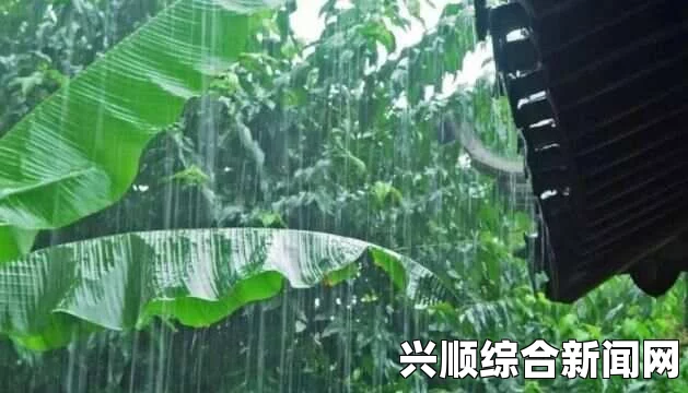 雨打芭蕉电影免费观看高清：感受细腻情感与诗意画面的完美结合