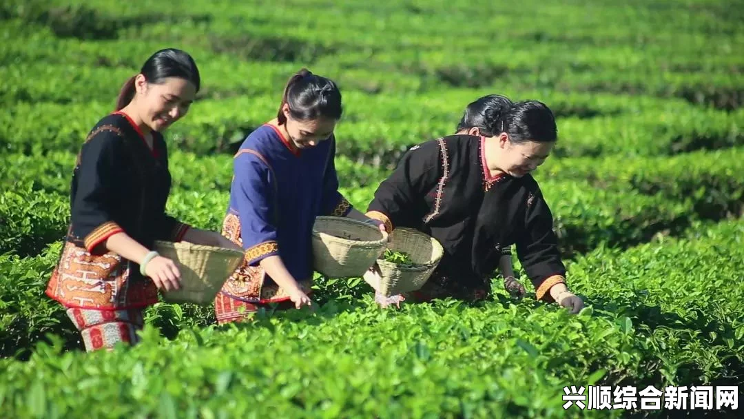 如何开垦母亲肥沃的土地，打造丰收的美好未来