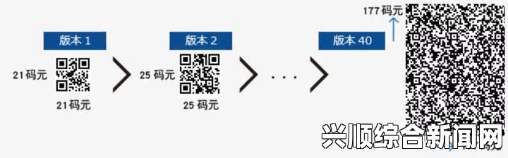 W无区码：探索一码、二码与三码的完整解读与应用