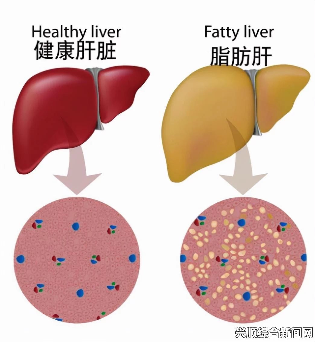 研究发现生两个孩子最有利于长寿，揭示生育与寿命之间的奥秘