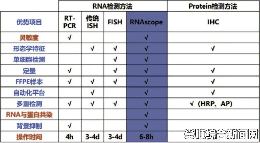 深入探讨RNAscope原位杂交技术在基因表达研究中的应用与优势