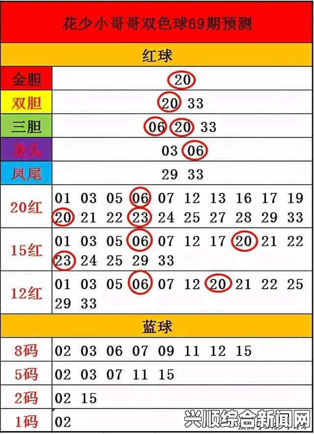 全面解析日韩码一码、二码、三码的详细区别与应用，结合69标准