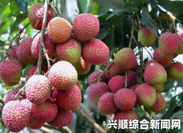 探索草莓、樱桃、丝瓜、绿秋葵与榴莲的美味大全，尽享水果与蔬菜的丰盛