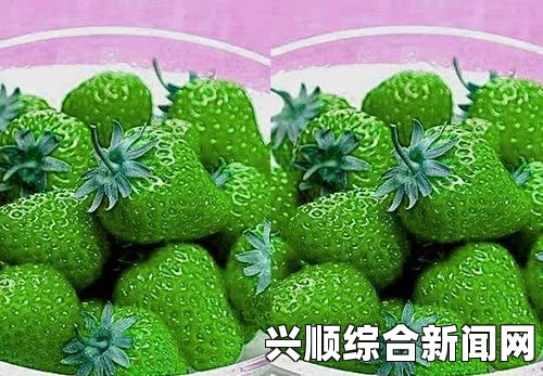 探索草莓、樱桃、丝瓜、绿秋葵与榴莲的美味大全，尽享水果与蔬菜的丰盛