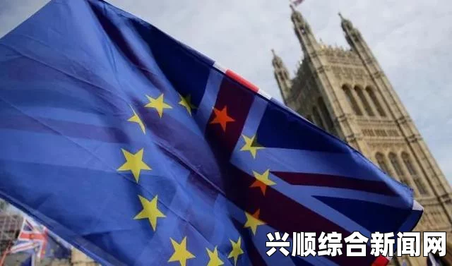 英国脱欧表决临近，无协议脱欧与英欧关系的十字路口抉择