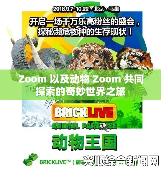 探索ZOOM动物高清世界：近距离观察野生动植物的魅力与奇观